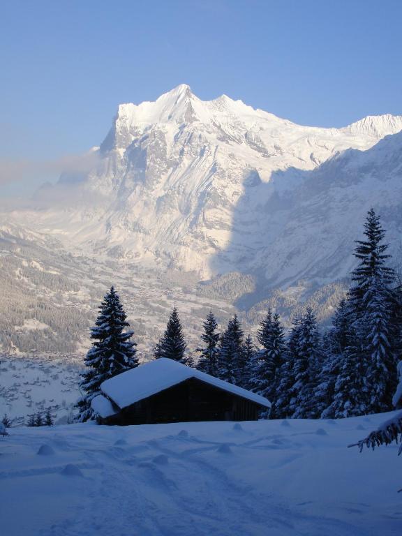 Chalet Asterix Гриндельвальд Экстерьер фото